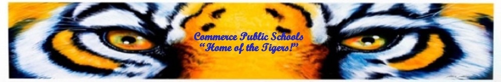 Tiger Eyes